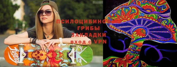 ECSTASY Алзамай
